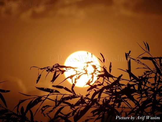 peacewatchkashmirgallery29112012 (12).jpg